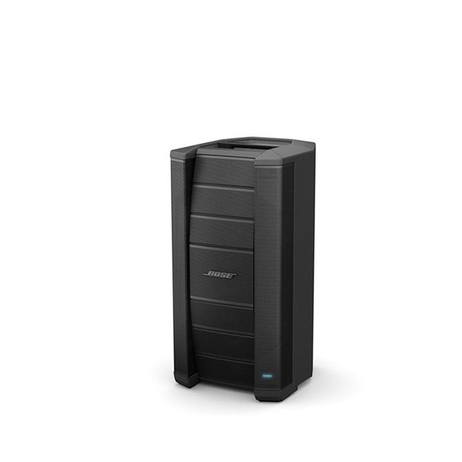 BOSE F1 MODEL 812 PASSIVE ARRAY
