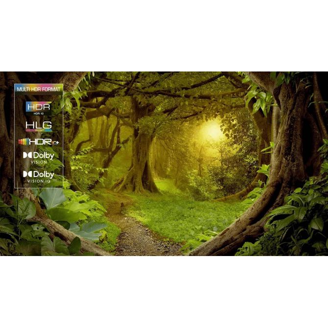 Televizor TCL 55C805, 139 cm (55''), Mini LED QLED, 3840 x 2160 (4K UHD), 120 Hz 6