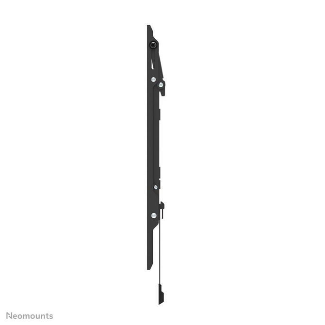 Neomounts Nagibni stenski nosilec za zas. 40-75'' 70kg, WL35-550BL16 6