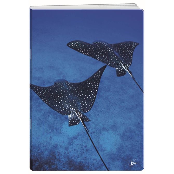 Elisa zvezek Deep Blue, A4, črte 271rrospcpjb