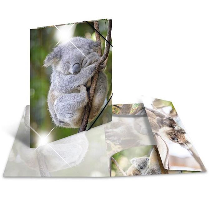 Herma mapa s klapo in elastiko, Glossy, A4 pkher19323