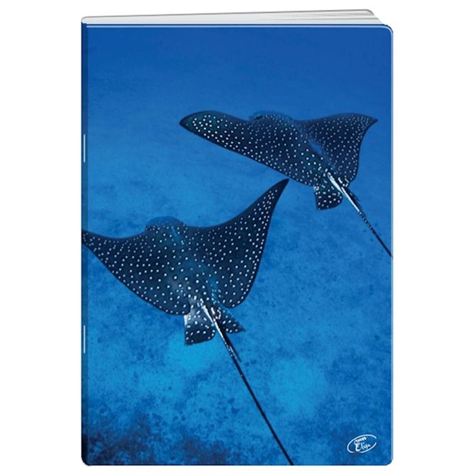 Elisa zvezek Deep Blue, A4, črte 2