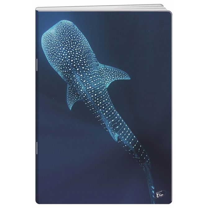Elisa zvezek Deep Blue, A4, mali karo 2