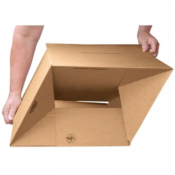 Kartonska škatla QUICKBOX 310x230x170 mm 3