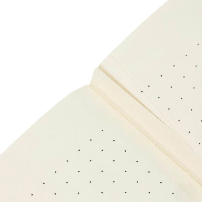 Paperblanks Cahier Temptation, A5, pikice 3