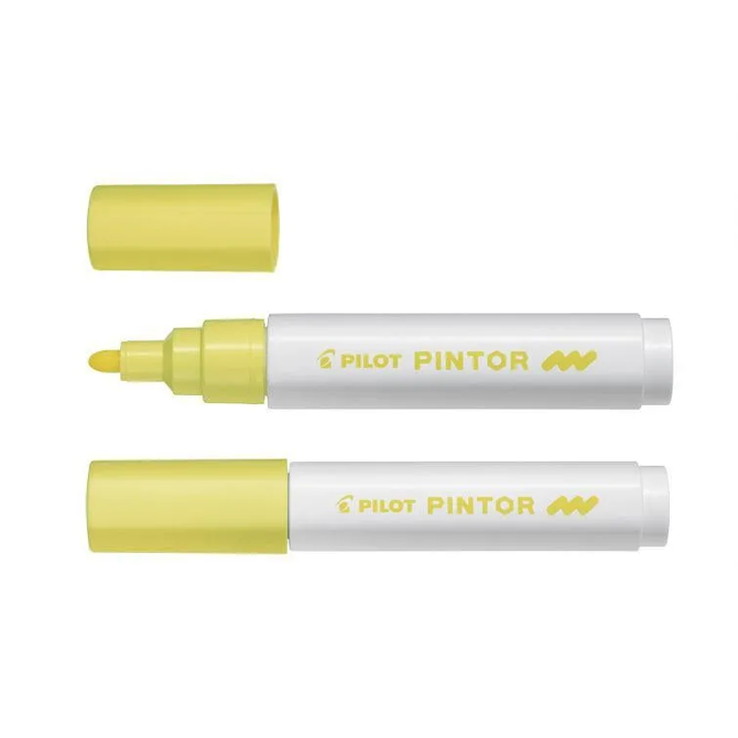 Pilot Marker Pintor Set PASTEL Mix MEDIUM SW-PT-M-S6-PASTEL 3