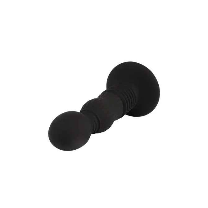 Analni čep Chisa Black Mont Delight Controller, 13 cm 2