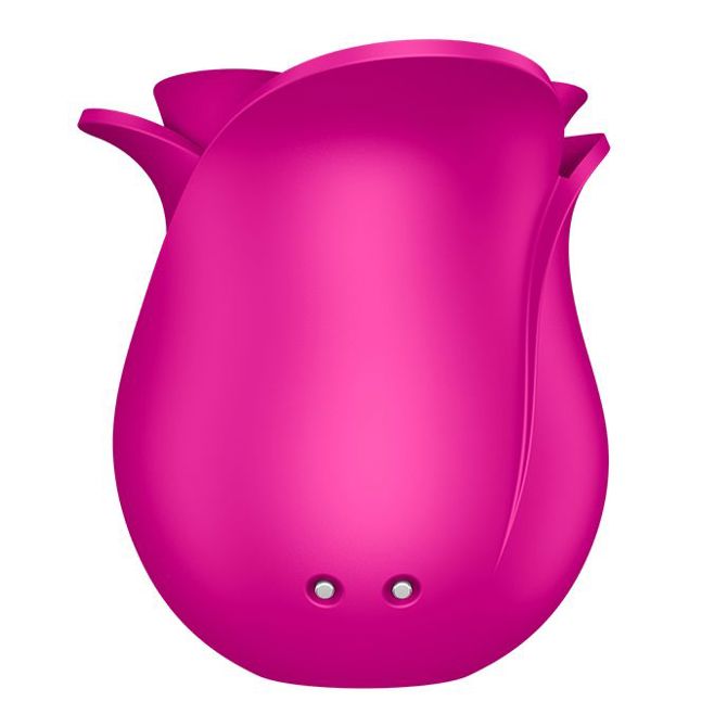 KLITORALNI STIMULATOR Satisfyer Pro 2 Modern Blossom 4