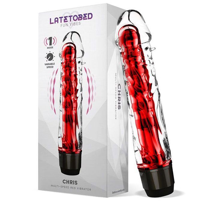 Vibrator Chris 24r900239 4