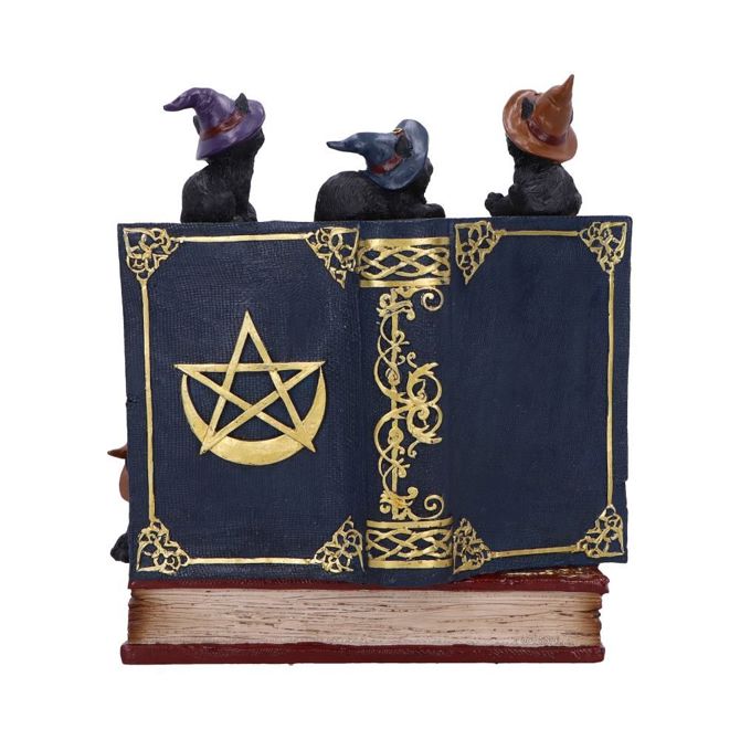 NEMESIS NOW COVEN KEEPERS ASSORTED figurica 3