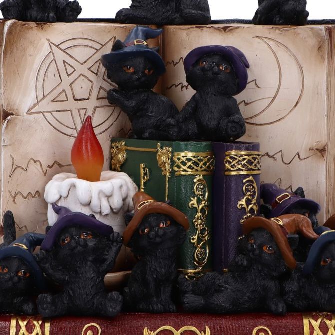 NEMESIS NOW COVEN KEEPERS ASSORTED figurica 5