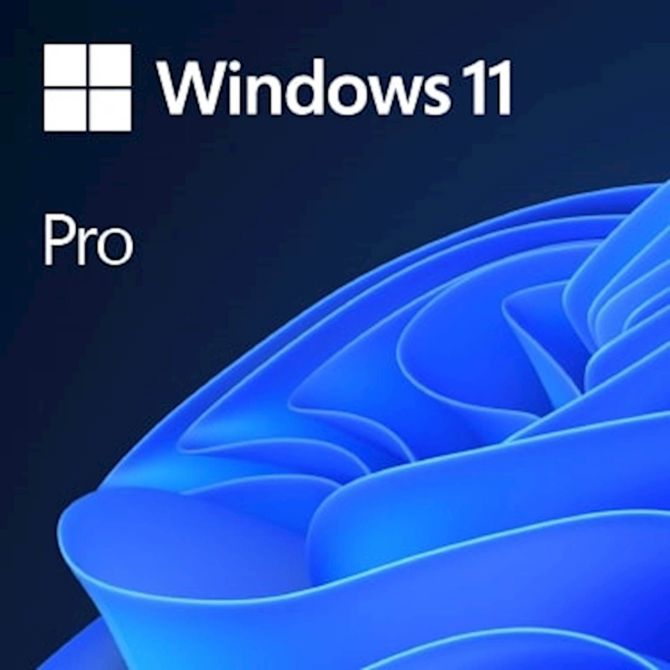 Microsoft Windows 11 Professional 64bit, angleški FQC-10528 DSP