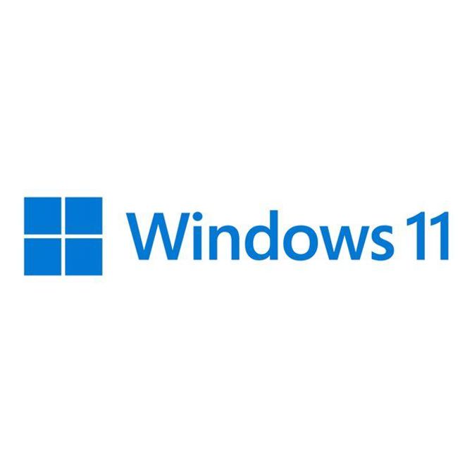 Microsoft DSP Windows 11 Pro 64-Bit DVD OEM English International (EN) 4
