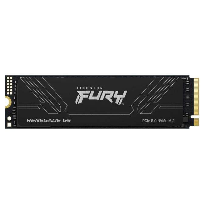 M.2 2TB FURY RENEGADE G5 2280