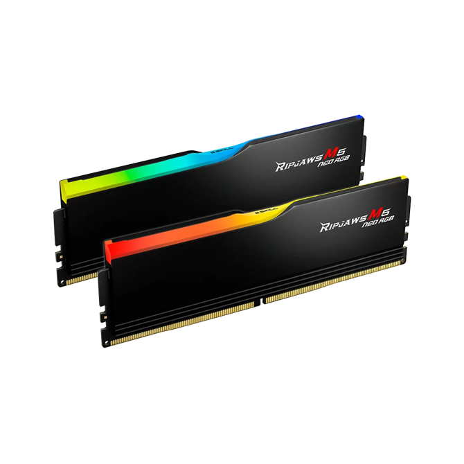 RAM G.Skill DIMM 64 GB DDR5-6000 (2x 32 GB) dvojni komplet (črna, F5-6000J2836G32GX2-RM5NRK, Ripjaws M5 Neo, AMD EXPO)