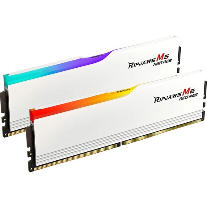 RAM G.Skill DIMM 64 GB DDR5-6000 (2x 32 GB) Dual-Kit (F5-6000J2836G32GX2-RM5RW, Ripjaws M5, INTEL XMP)