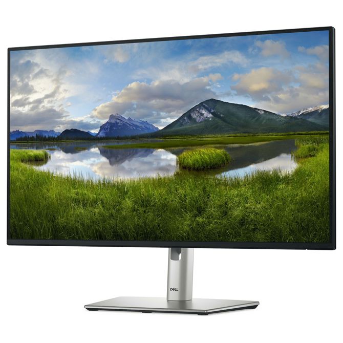 Monitor Dell P2725H 68,58 cm (27,0), 1920 x 1080 (FHD), IPS, 300 cd/m2, 100 Hz, HDMI, DP, VGA, USB-C 15W, siva (210-BMGC) 117136162 117136162 2