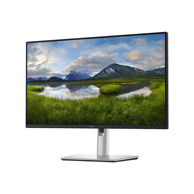Monitor Dell Pro 24 Plus QHD USB-C Hub Monitor - P2425DE 3
