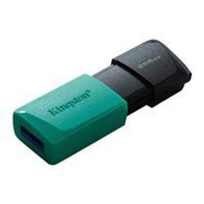 KINGSTON 256 GB DataTraveler Exodia M 2