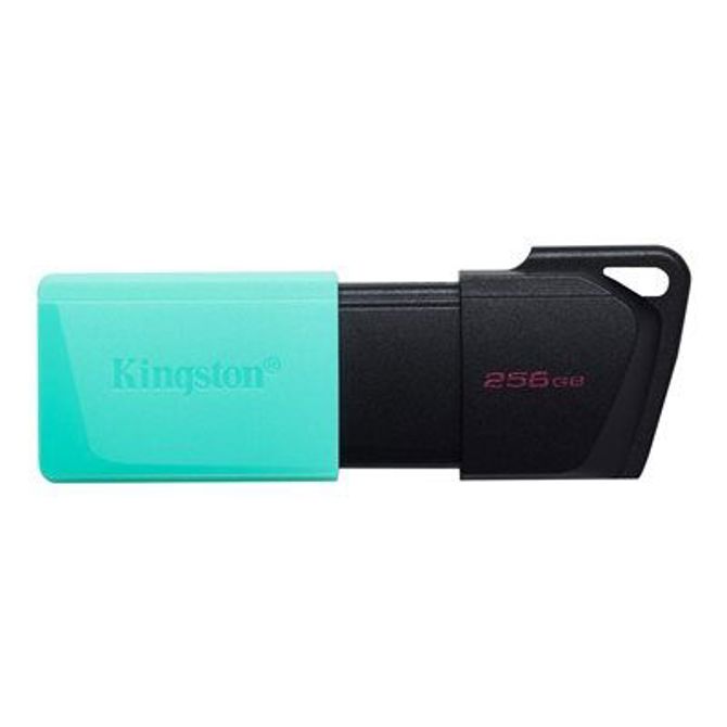 KINGSTON 256 GB DataTraveler Exodia M 5