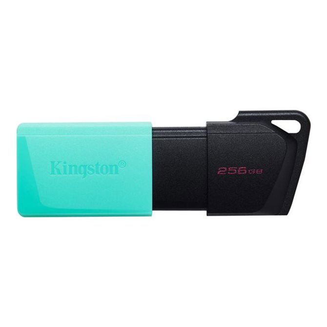 KINGSTON 256 GB DataTraveler Exodia M 6