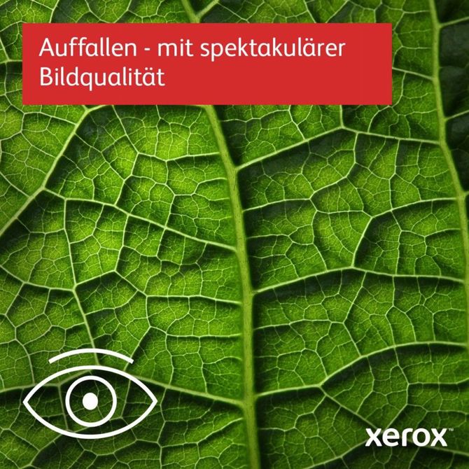 Večfunkcijski laserski tiskalnik Xerox B225, USB, LAN, WiFi 3