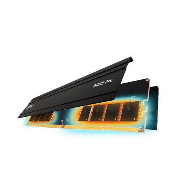 RAM DDR5 48GB Kit (2x 24GB) 5600MT/s CL46 1.1V Crucial Pro 3