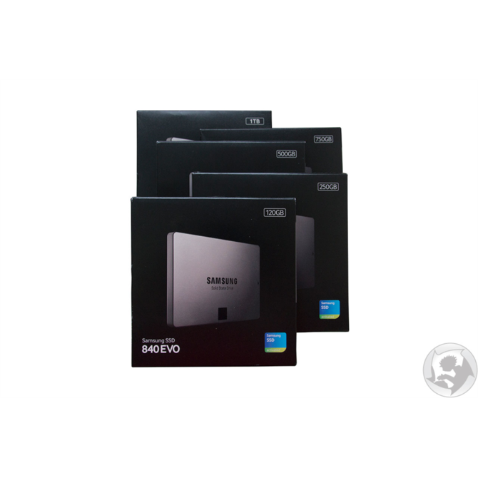 Samsung 250GB 840 EVO SSD SATA3 2.5 disk - MZ-7TE250BW 2