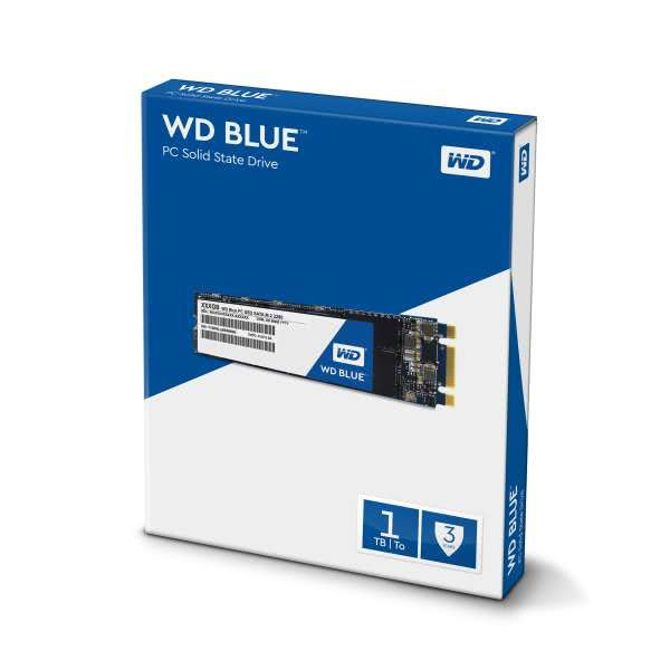 SSD disk WD Blue™ 1TB M2 (WDS100T1B0B) 2