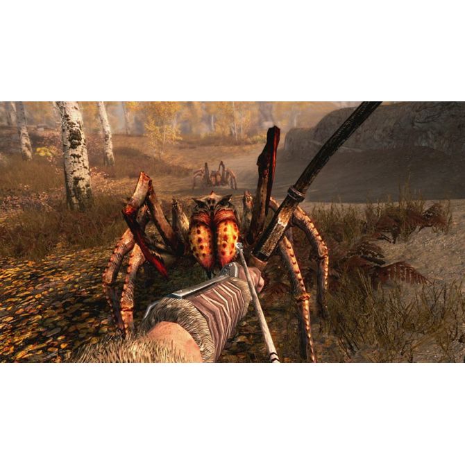 The Elder Scrolls V: Skyrim (Nintendo Switch) 6