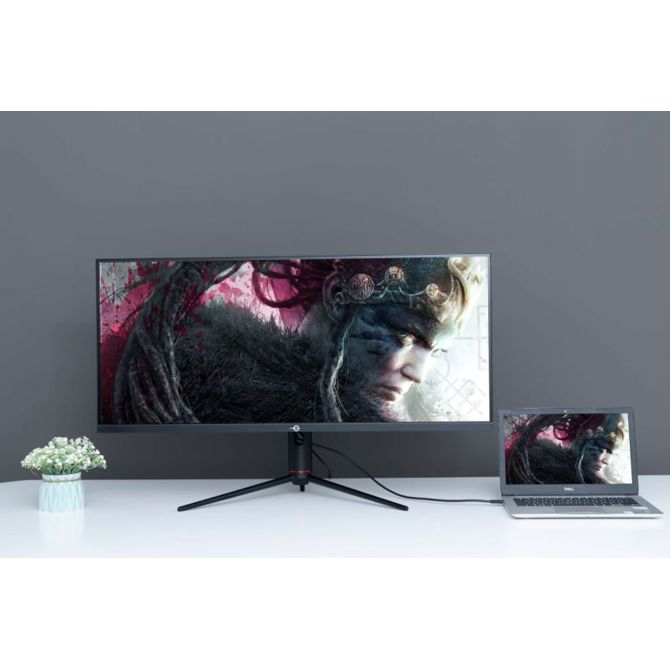Monitor Titan Army P40UG, 101,6 cm (40), UWQHD IPS, 144 Hz, HDR400, USB-C, črne barve 2