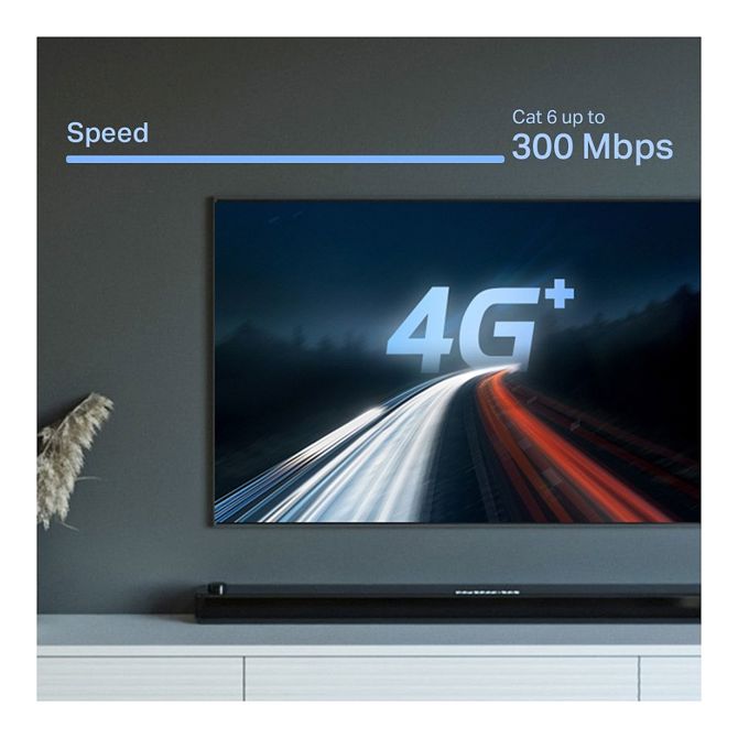 TP-LINK TP-LINK Deco X50-4G 4