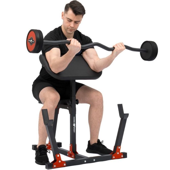 Klop bench curl Marbo 2.0