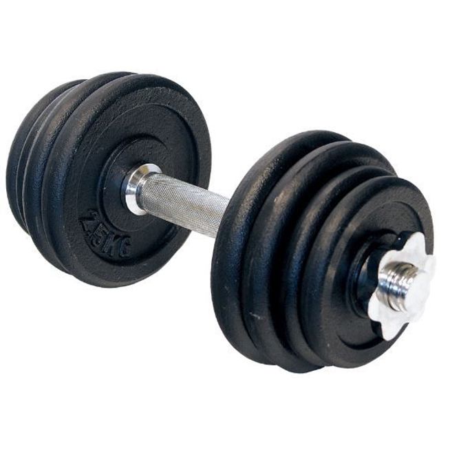 Fitnes ročka z utežnimi diski 3