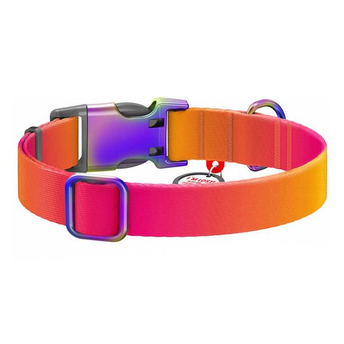 Najlonska pasja ovratnica s QR kodo WAUDOG 15 mm široka, 25-35 cm dolga oranžna 3
