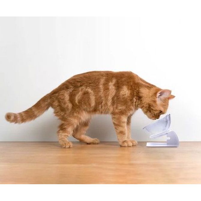 Pet Treatment dvojna posoda s stojalom za mačke, 2x 350ml, za hrano / vodo, 15° nagib, 27x12.5x14cm 3