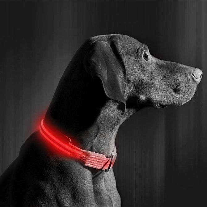 Yummie ovratnica z LED osvetlitvijo - USB z baterijo - velikost L (52cm) - rdeča 3