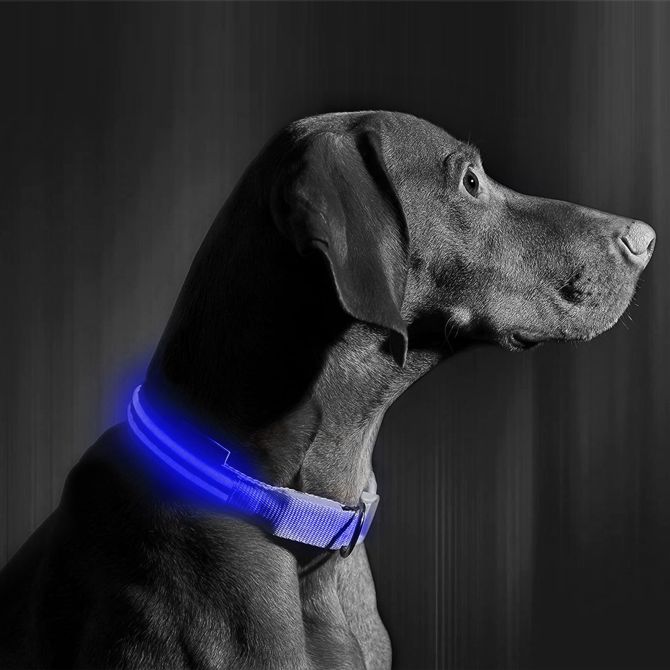 Yummie ovratnica z LED osvetlitvijo - USB z baterijo - velikost S (43cm) - modra 3