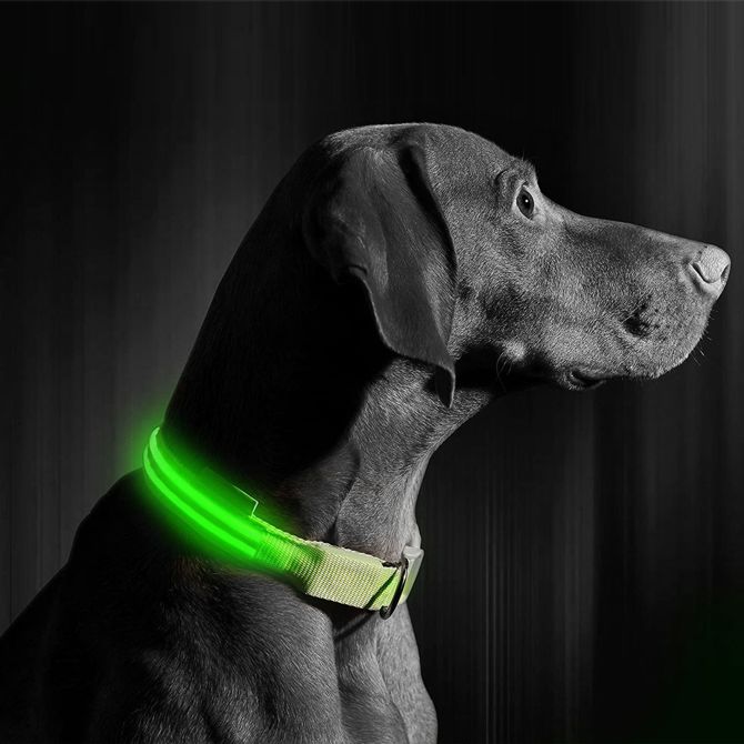Yummie ovratnica z LED osvetlitvijo - USB z baterijo - velikost S (43cm) - zelena 3